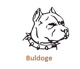 Avatar von Buldoge