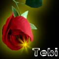 Tebi